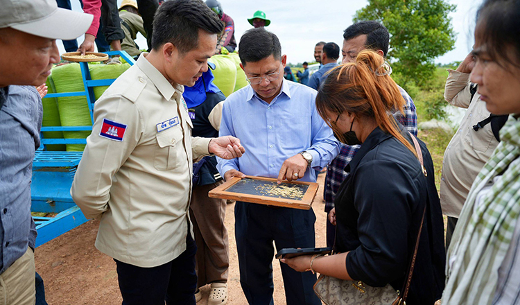 Local firm buys over 30K tonnes of rice from farmers